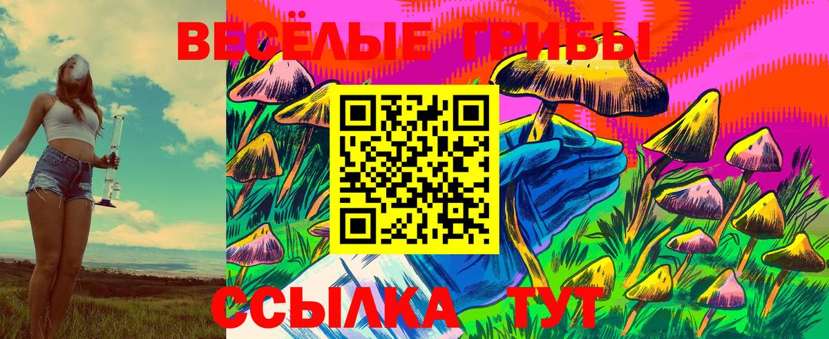 Галлюциногенные грибы Magic Shrooms  Вход с VPN  Качканар 