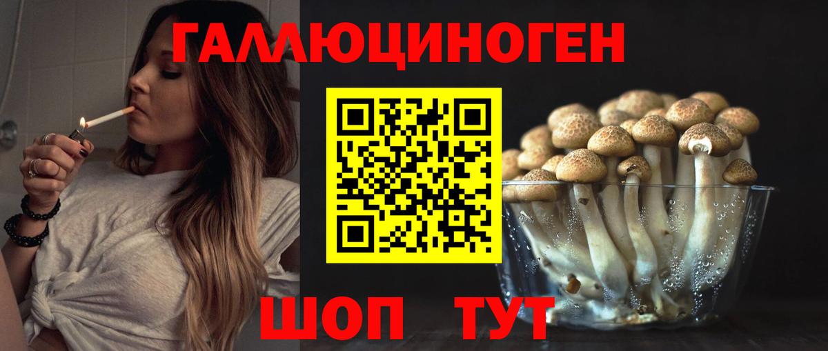 Галлюциногенные грибы Magic Shrooms Качканар